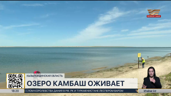 Озеро Камбаш в Кызылординской области вновь наполнилось водой после засухи