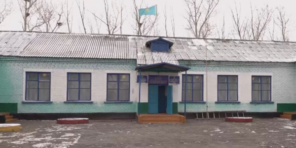 Ресеймен шекаралас ауылда интернет мәселесі шешілмей тұр