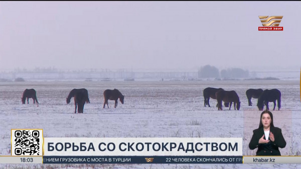 Наказание за скотокрадство ужесточили в Казахстане
