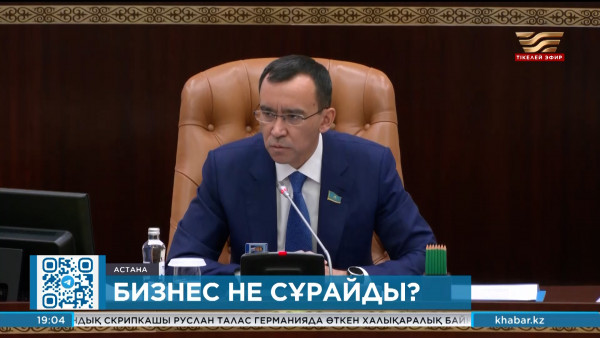 Кәсіпкерлікке не кедергі?