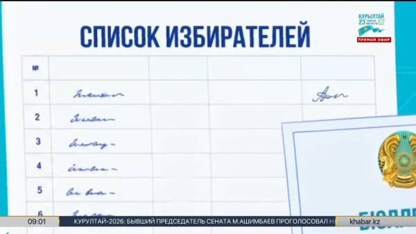 Пошаговая инструкция: как правильно проголосовать