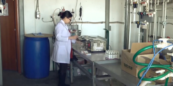 В Павлодаре увеличилось производство дезинфицирующих средств