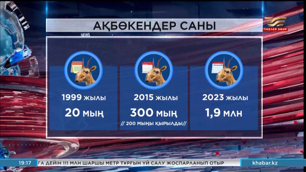 Жыл соңына дейін ақбөкендер саны 2,6 млн жетуі мүмкін