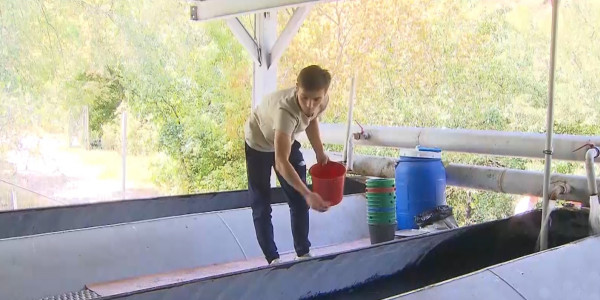 Профессия ихтиолога переходит в разряд экзотических в Казахстане