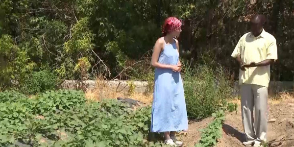 Уроженец Африки выращивает необычные сельхозкультуры неподалеку от Алматы