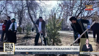 Более 1,5 млрд деревьев высадили за 4 года в РК