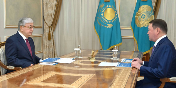 Глава государства принял акима Костанайской области Кумара Аксакалова