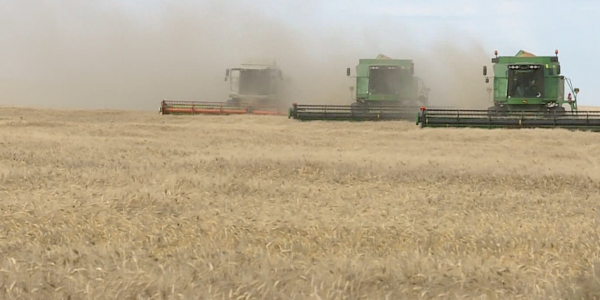 Перспективы развития агропромышленного комплекса в Казахстане