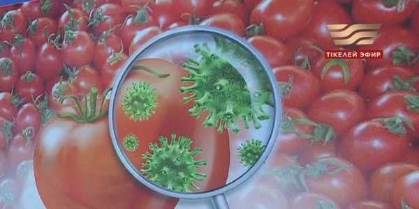 Қызанақтан қауіпті вирус анықталды