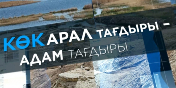 Көкарал тағдыры &ndash; адам тағдыры