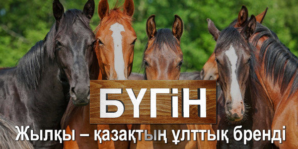 Жылқы &ndash; қазақтың ұлттық бренді. &laquo;Бүгін&raquo;