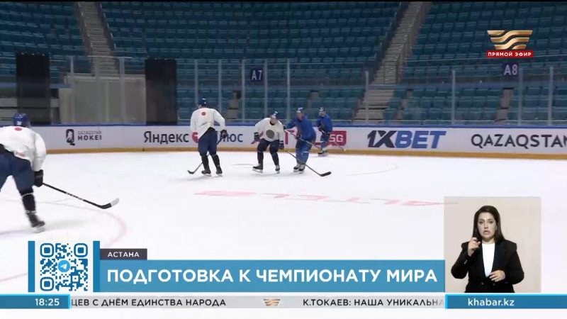 Национальная сборная Казахстана по хоккею продолжает подготовку к чемпионату мира