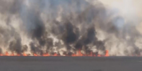 Атырауда қамысты алқап өртенді