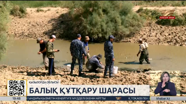 Қызылорда облысында балық құтқару шарасы қарқынды жүріп жатыр