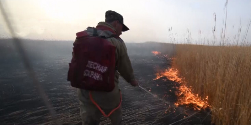Сезон природных пожаров начался в Алматинской области