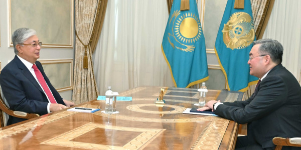 Мемлекет басшысы Қазақстанның Аустриядағы елшісі Мұхтар Тілеубердіні қабылдады