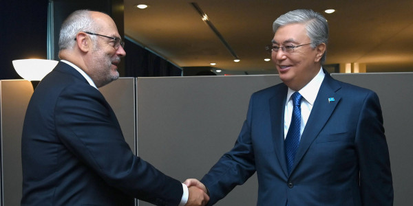 Глава государства провел переговоры с Президентом Эстонии Аларом Карисом