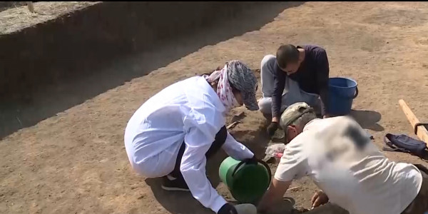 Раскопки уникального могильника андроновской эпохи профинансировали казахстанцы