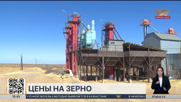 Цены на зерно продолжают расти