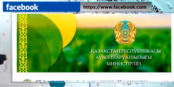 Дефицита продуктов в стране нет - Правительство РК