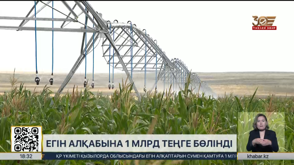Қызылорда облысындағы егін алқабына ₸1 млрд бөлінді
