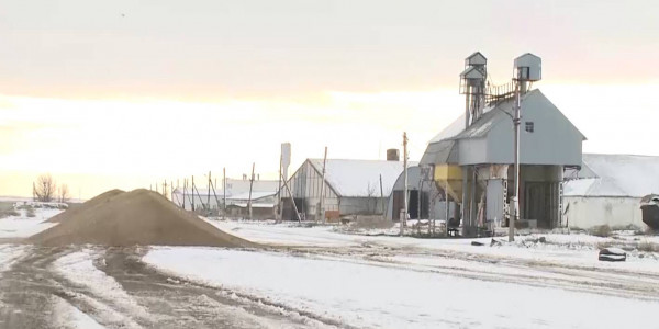 Новый механизм поддержки аграриев ввели в Казахстане