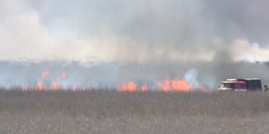 В Атырауской области вторые сутки пытаются локализовать возгорание камыша