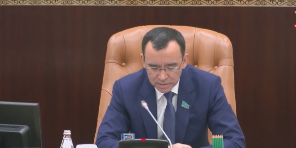 Қазақстан мен Қырғызстан шекара өкілдерінің жұмысын реттейтін болады