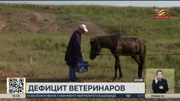 В Казахстане растёт риск заболеваний среди животных