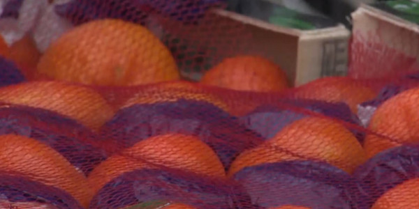 Новый год алматинцы рискуют встретить без мандаринов: фрукт резко подорожал