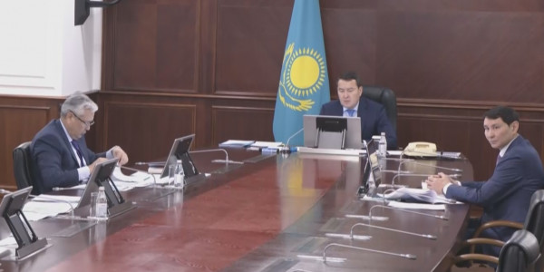 Ережені елемегендер жазаланады