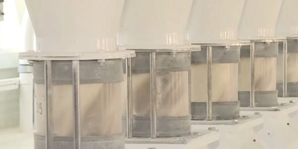 Елімізде дәнді дақылды өңдейтін кәсіпорындардың кейбірі мемлекеттік көмекке мұқтаж