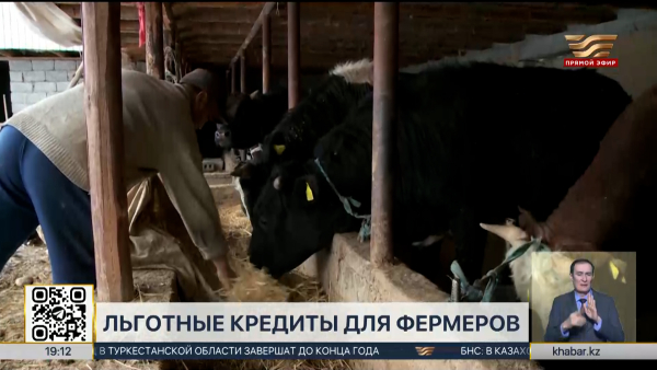 В Казахстане запустили льготные кредиты для фермеров