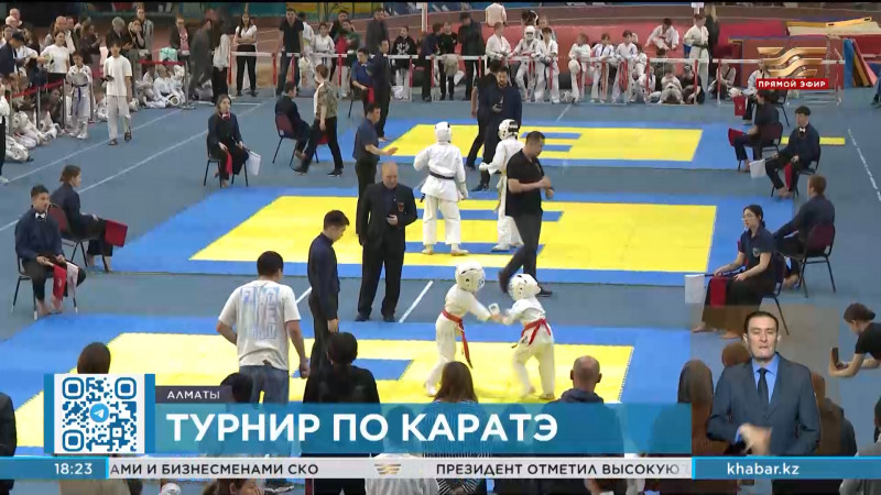 Республиканский детский турнир по каратэ прошел в Алматы