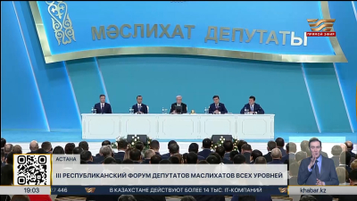 Президент: Маслихаты должны эффективно использовать свои возможности