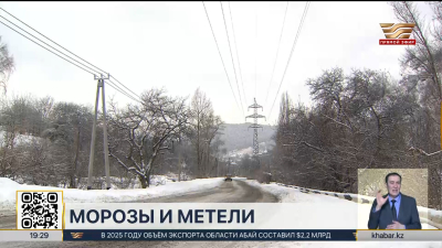 Снегопады и мороз прогнозируют в Казахстане