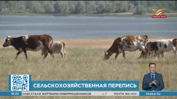 Сельскохозяйственную перепись проведут в Казахстане