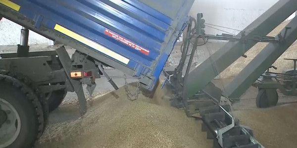 Геосаяси жағдай диқандарға кесірін тигізіп отыр