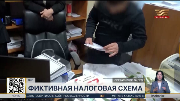 Фиктивную налоговую схему на ₸356 млн выявили в ВКО