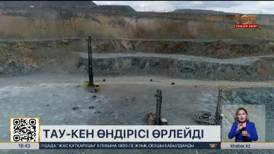 Елімізде сирек металдар бар 11 жаңа учаске табылды