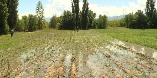 Алматы облысындағы көрікті жерлер ЮНЕСКО тізіміне енді