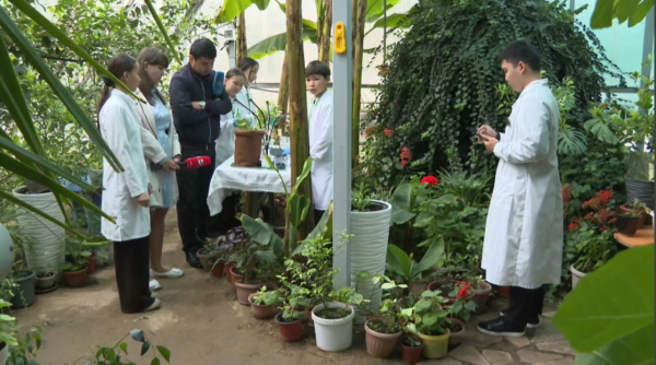 Теплицы как лаборатории: школьники Шымкента осваивают агронауку