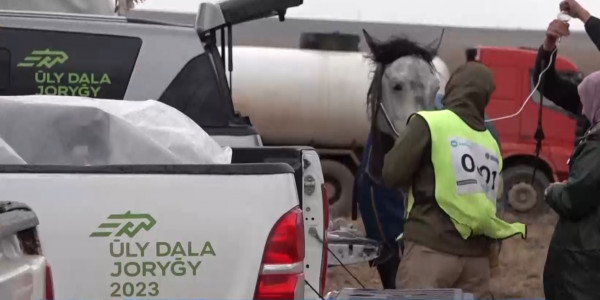 &laquo;Ұлы дала жорығы&raquo;: жобада 12 команда қалды