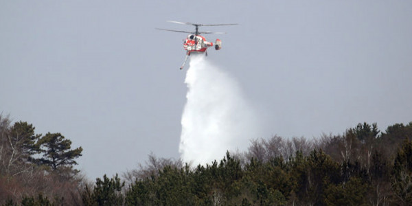 Казахстан оказал помощь Турции в тушении пожаров на юго-западе страны