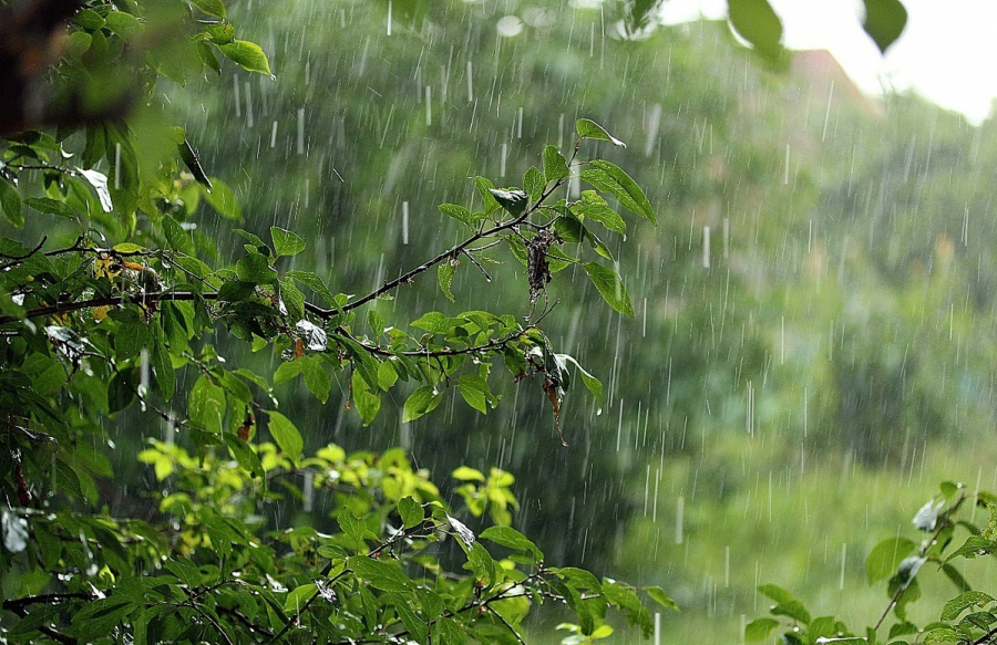В северных областях Казахстана ожидается сильный дождь