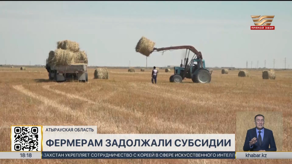 Фермерам Атырауской области задолжали почти 2 млрд тенге субсидий