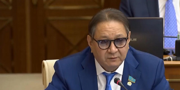 Эффективно регулировать цены на продукты призвал мажилисмен