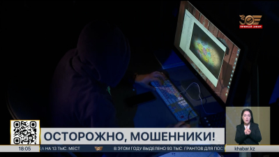 В Казахстане с начала года на 25% выросло число интернет-мошенничеств