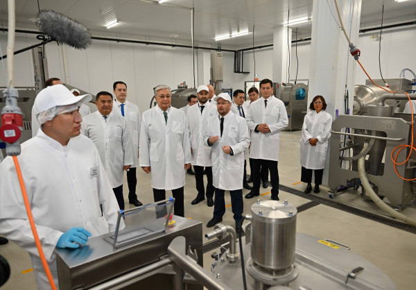 Президент жартылай фабрикаттар өндірісімен танысты