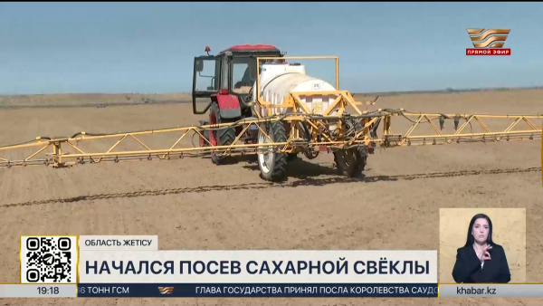 В области Жетiсу начался посев сахарной свёклы